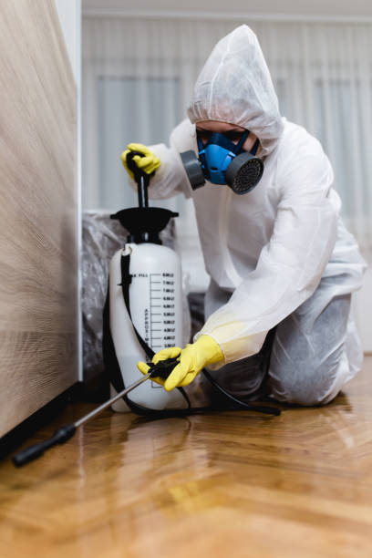 Best Indoor Pest Control  in New Market, AL